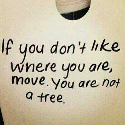 Move on You're not A tree